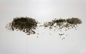 Black Mold Removal