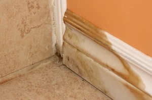 Mold Abatement