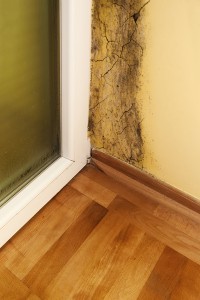 Mold in House Atlanta GA