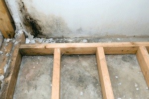 Mold Removal Atlanta GA