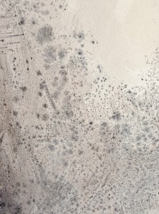 Mold Removal Atlanta GA